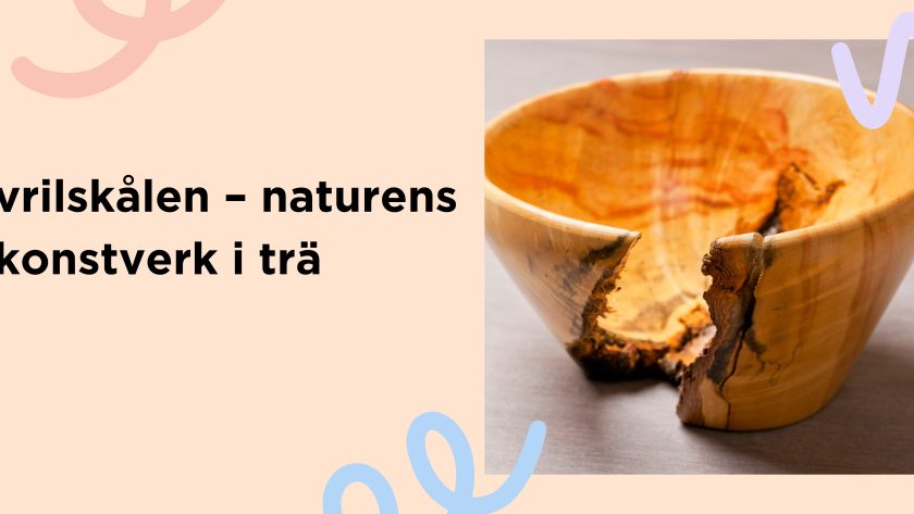 vrilskålen – naturens konstverk i trä