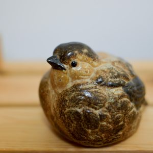 Jie Gantofta fågel Erik Engqvist